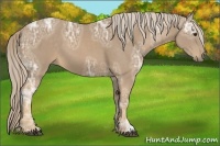 Horse Color:Palomino Ice 