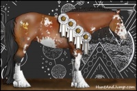 Horse Color:Bay Sabino  and Bay Sabino 