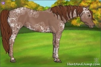Horse Color:Chestnut Ice 