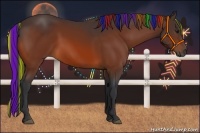 Horse Color:Painted Bay 
