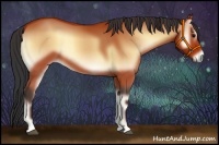 Horse Color:Bay Onyx 
