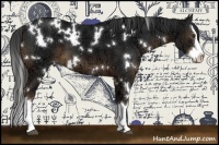 Horse Color:White Spotted Liver Chestnut Ice Splash