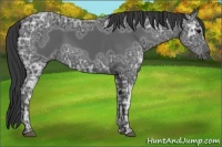 Horse Color:Black Ice 