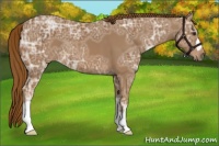 Horse Color:Chestnut Ice 