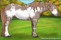 Horse Color:Chestnut Ice Frame 