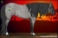 Horse Color:Smoky Grullo Roan 