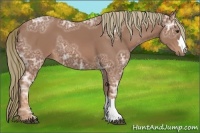 Horse Color:Chestnut Ice 