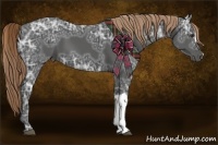 Horse Color:Liver Chestnut Ice