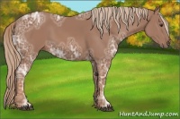 Horse Color:Chestnut Ice 