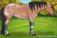 Horse Color:Bay Ice Roan 