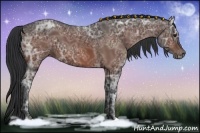 Horse Color:Bay Ice 