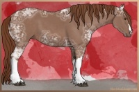 Horse Color:Chestnut Ice 