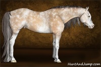 Horse Color:White Spotted Sable Champagne 