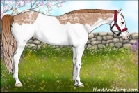Horse Color:Chestnut Ice Splash