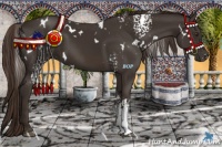 Horse Color:White Spotted Liver Chestnut 