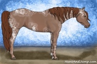 Horse Color:Chestnut Ice 