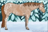 Horse Color:Red Ice Roan