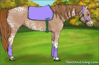 Horse Color:Chestnut Ice 