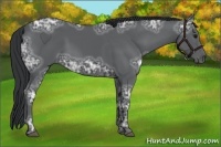 Horse Color:Black Ice 