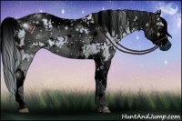 Horse Color:ERROR: UNKNOWN ANOMALY and ERROR: UNKNOWN ANOMALY