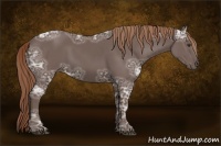Horse Color:Liver Chestnut Ice 
