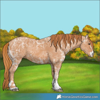 Horse Color:Chestnut Ice 