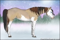 Horse Color:Red Dun Splash  and Bay Dun Splash 