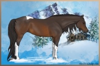 Horse Color:Buckskin Tobiano