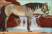 Horse Color:Liver Red Dun Roan Sabino 