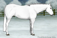 Horse Color:Gray Black Ice