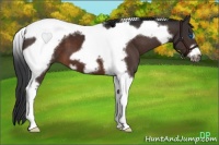 Horse Color:Brown Tobiano Frame 