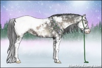 Horse Color:Blue Onyx Sabino Appaloosa 