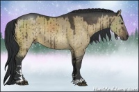 Horse Color:Brown Dun Sabino 