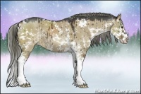 Horse Color:Liver Red Dun Sabino Splash Rabicano