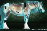 Horse Color:Thunderstruck Buckskin Onyx Tobiano 