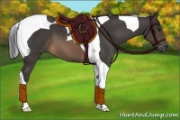 Horse Color:Buckskin Tobiano