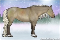 Horse Color:Liver Red Dun 
