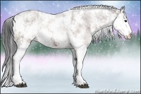 Horse Color:Brown Sabino 