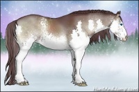 Horse Color:White Spotted Chocolate Blue Onyx Splash 