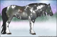 Horse Color:White Spotted Black Chinchilla Tobiano Rabicano