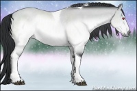 Horse Color:Brown Chinchilla Roan Tobiano Rabicano