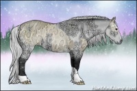 Horse Color:Buckskin Ice Dun Sabino Rabicano and Silver Brown Chinchilla Ice Rabicano