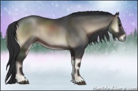 Horse Color:Blue Onyx 