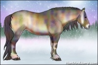 Horse Color:Nacre Brown Onyx Rabicano 