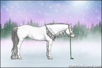 Horse Color:Black Sabino Appaloosa Rabicano 