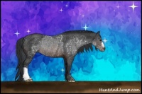 Horse Color:Brown Rabicano 