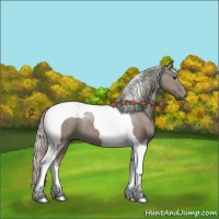 Horse Color:Silver Grullo Tobiano