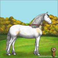 Horse Color:Buckskin Ice Dun Splash Tobiano 