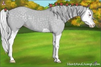 Horse Color:Silver Classic Champagne Chinchilla Dun Splash 