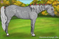 Horse Color:Silver Grullo Chinchilla 